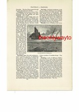 Trawl net fishing for sale  BOURNEMOUTH