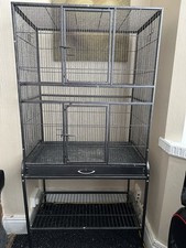 Parrots for sale Parrots for sale  COVENTRY