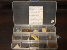 Fossil collection box. for sale  RAMSGATE