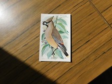 Useful birds america for sale  BATH