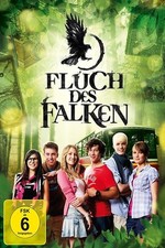Fluch falken 5 gebraucht kaufen  Berlin