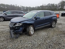 Driver front door for sale  Carnesville