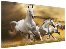 Quadro moderno cavalli usato  Monopoli