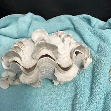 Rare large pair for sale  STRANRAER