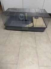 Nagerkäfig gebraucht kaufen  Remscheid