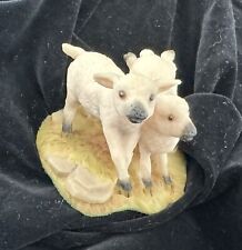 Aynsley mastercraft lambs for sale  ASHFORD