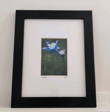 Framed fine photography for sale  Ann Arbor