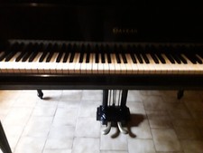 Piano quart queue d'occasion  Vernouillet