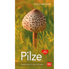 Pilze bestimmen schritten gebraucht kaufen Pilze bestimmen schritten gebraucht kaufen  Berlin