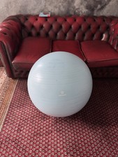 Gymnastikball pezziball stillb gebraucht kaufen  Mainz