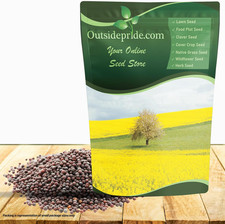 Black mustard seeds for sale  Denver