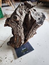 Bois olivier provence d'occasion  Le Cannet