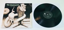 Chameleons tears 12 for sale  SANDY