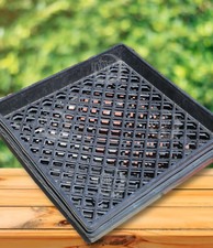 Greenhouse tray seedlings for sale  Los Angeles