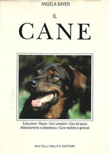 Sayer cane evoluzione usato  Sezzadio