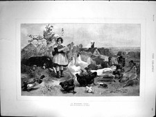Old 1891 morning for sale  UK