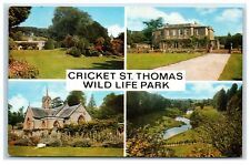 Postcard cricket thomas for sale  TEWKESBURY