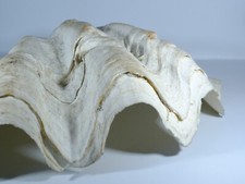 Vintage old giant for sale  SHEFFIELD