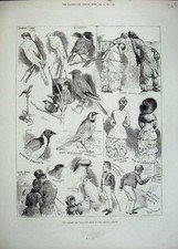 Old antique print for sale  UK