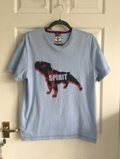 Next bulldog spirit for sale  HARROGATE