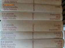 Grande enciclopedia della usato  Grado