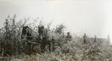 Vintage snapshot photo for sale  Deming