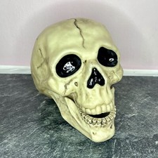 Skeleton skull halloween for sale  BIGGLESWADE