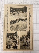 Cartolina cc.nn. milizia usato  Genova
