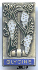 20039 marine. glycine d'occasion  Castanet-Tolosan