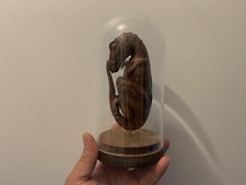Dinosaure foetus rex d'occasion  Aiglun