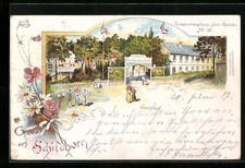Lithographie berlin grunewald gebraucht kaufen  Berlin