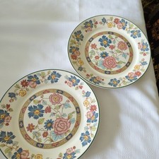 Vintage myott plates for sale  BALA