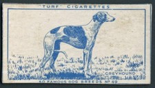 Greyhound carreras turf for sale  COLEFORD