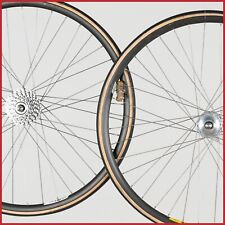 Nos campagnolo tandem usato  Barletta