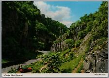 Cheddar gorge somerset for sale  REDCAR
