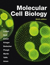 Molecular cell biology for sale  BATH
