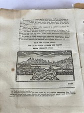 Ancona illustrata leoni usato  Mel