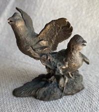 Bobwhite quail birds for sale  Gillette
