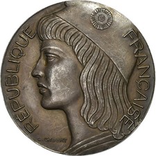 Médaille député assemblée d'occasion  Lille-