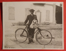 Photo bici triumph usato  Pistoia