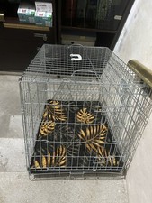 Gabbia cane usato  Ancona