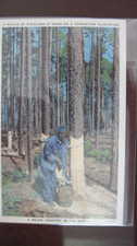 Native dixieland work for sale  Lake in the Hills