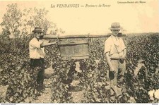 Reproduction cpa agriculture d'occasion  Fruges