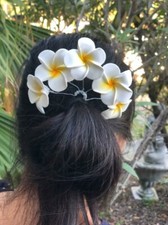 Hair pin plumeria for sale  Napa