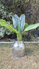 Vintage manus stainless for sale  NEWQUAY