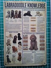 labradoodles for sale  TRING