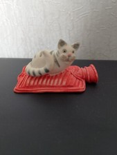 colour box cats for sale colour box cats for sale BARROW-IN-FURNESS