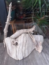 Treibholz schwemmholz 56cm gebraucht kaufen  Hilden