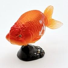 ranchu for sale ranchu for sale Shipping to United Kingdom