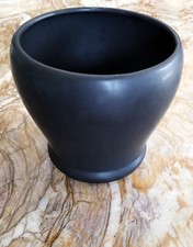 Black house plant for sale  Covina